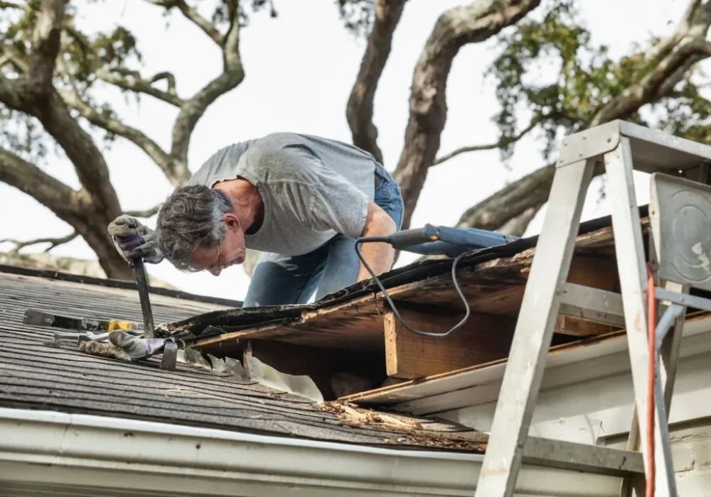 5f004272-ecf4-4f02-931b-1f2c666208ca-1920w-1024x682